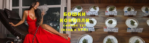 молекула духа Протвино