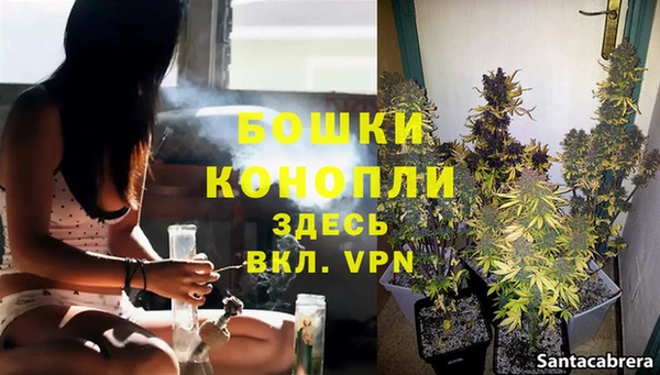молекула духа Протвино