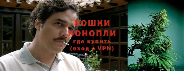 молекула духа Протвино