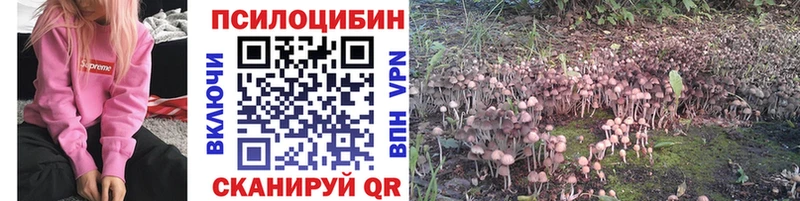 купить наркотик  shop телеграм  Галлюциногенные грибы Psilocybe  Хвалынск  KRAKEN ссылки 